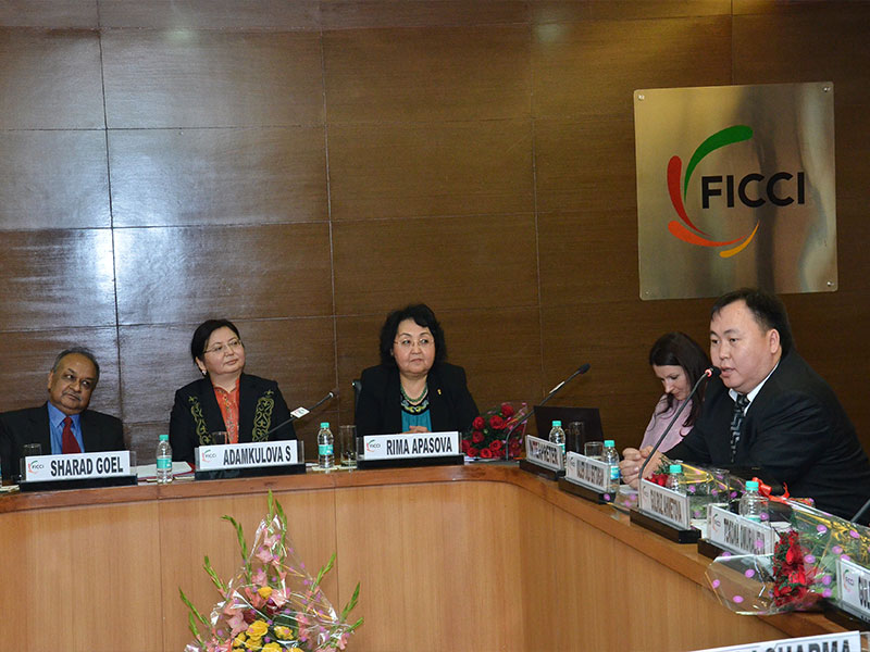 Кыргызстан-Индия